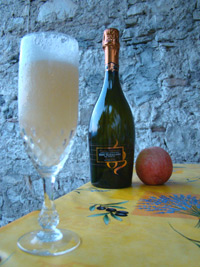 Cocktail Bellini - Dégustation